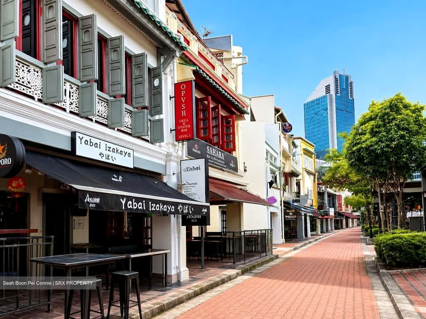 Boat Quay Conservation Area (D1), Shop House #580762141